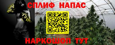 МДПВ Ливны