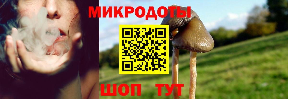 Галлюциногенные грибы мицелий Дубна